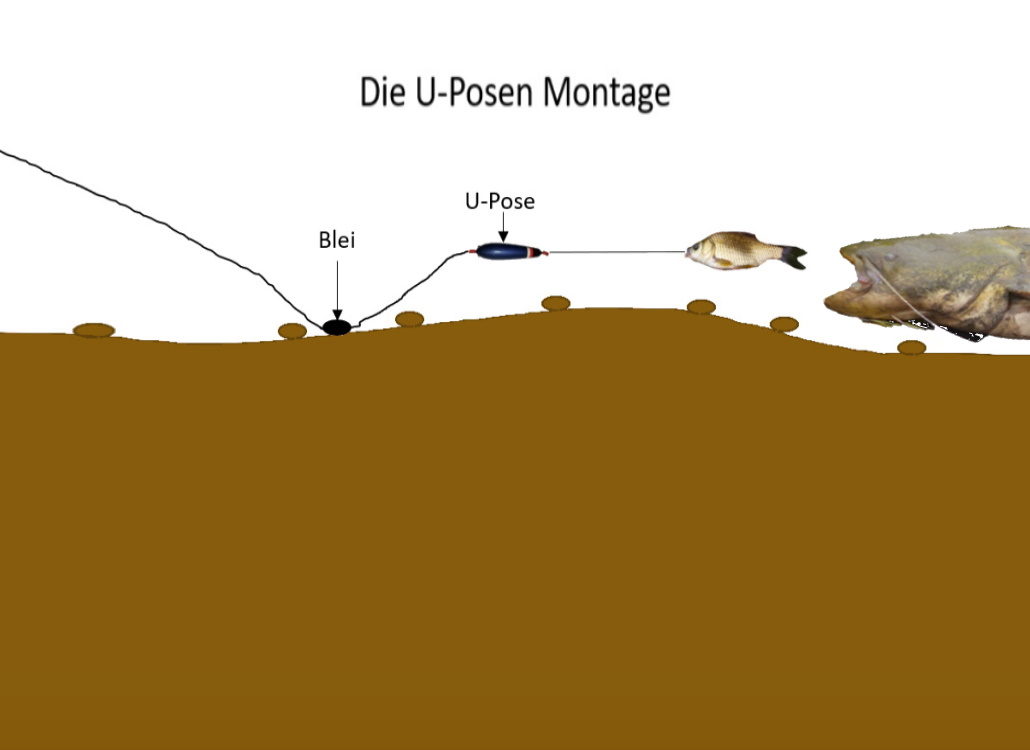 Die U-Posen Montage Unterwasserposen Montage