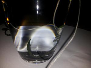 Einzelhaken in Glas