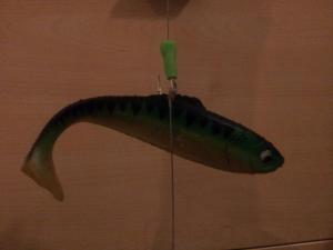 Ausrichtung Köderfisch Spiegelmontage