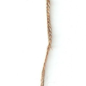 flachgeflochtene Wallerschnur