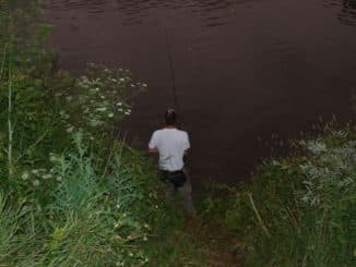 Spinnfischen auf Wels