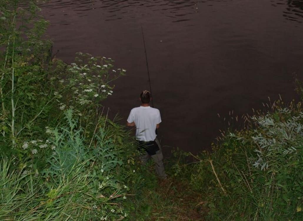 Spinnfischen auf Wels
