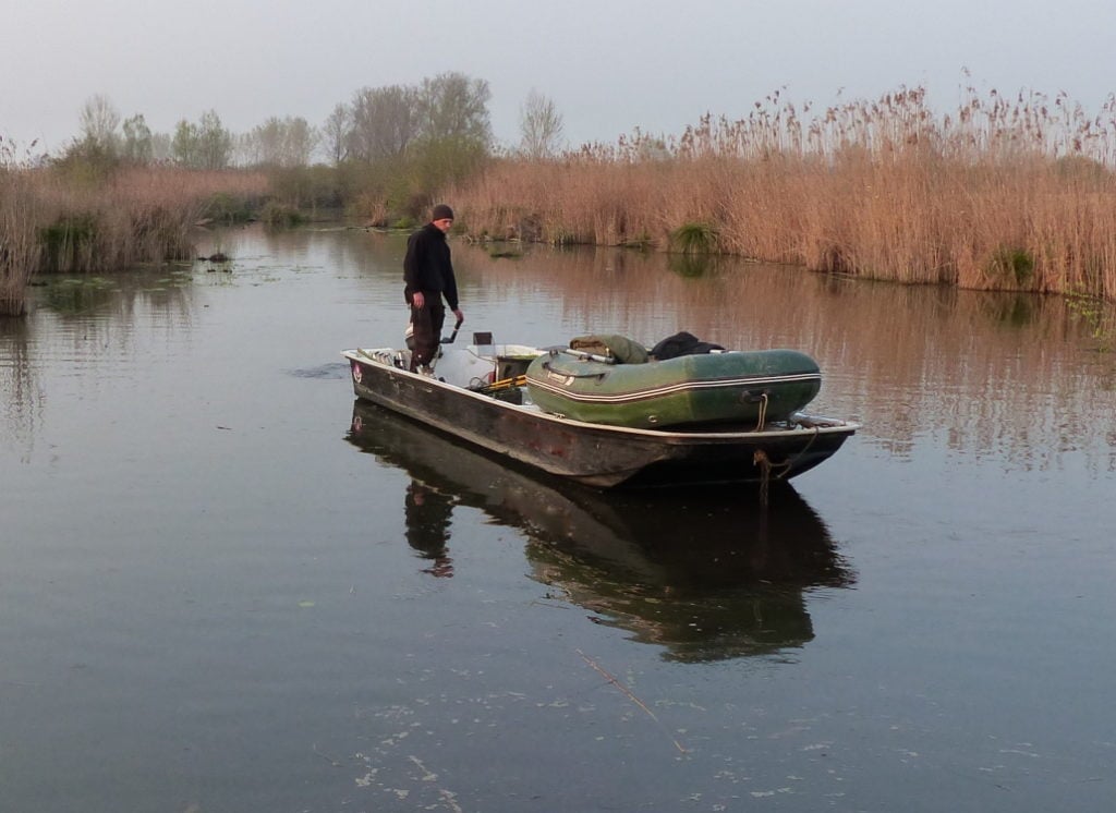 Boot zum Wallerangeln