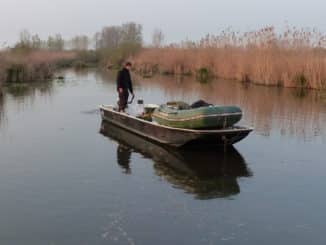 Boot zum Wallerangeln