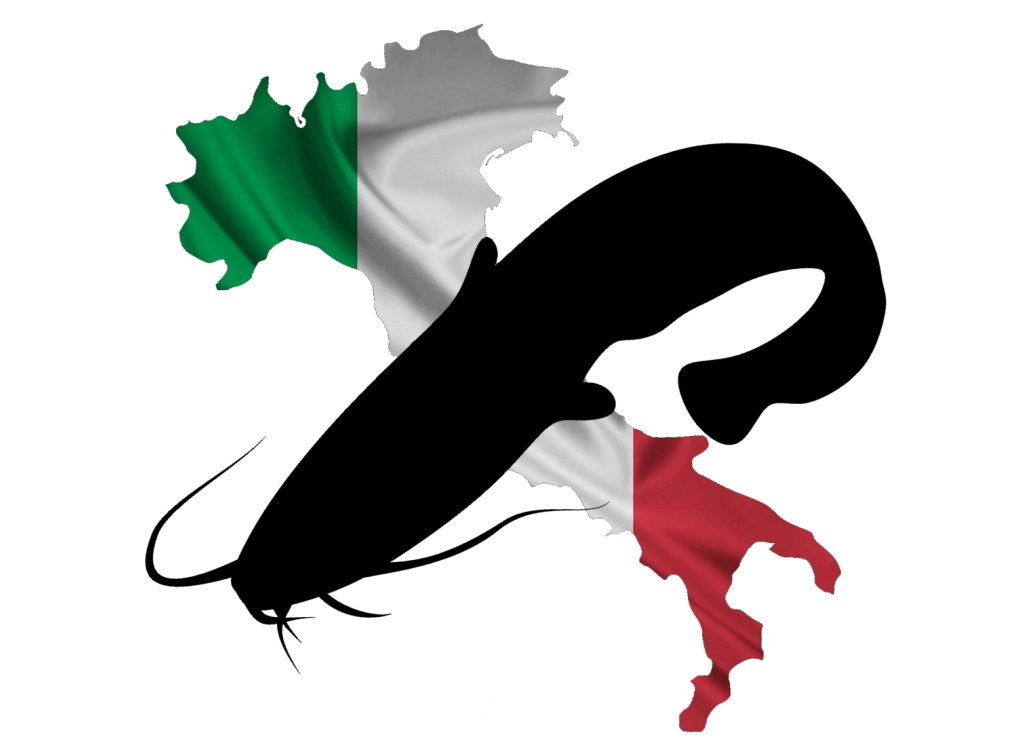 wallerangeln-italien-wallercamp wallerangeln-italien-wallercamp