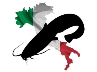 wallerangeln-italien-wallercamp
