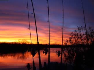 wallerangeln-wallercamp-outdoor-sonnenuntergang