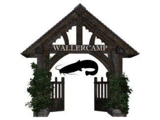 wallercamp-wallerangeln-welscamp