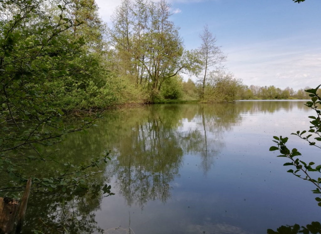 knochenmontage_bei_ueberhaengen