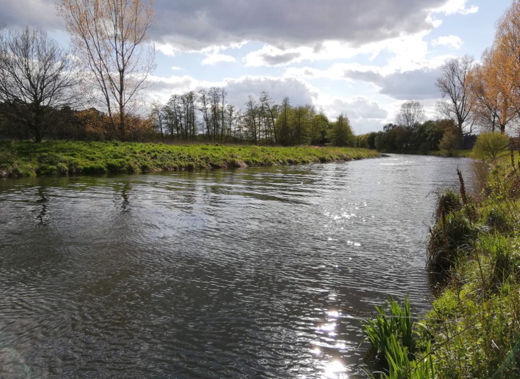 flusskurve_hotspot_knochenmontage