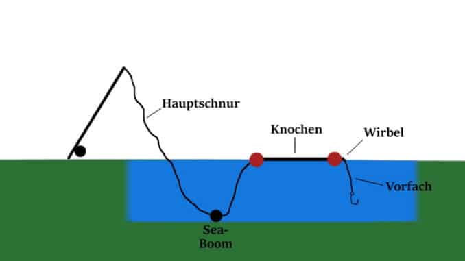 aufbau_knochenmontage_wallerangeln_welsangeln
