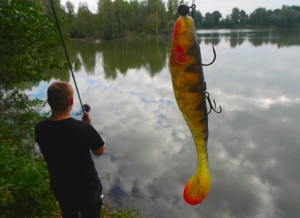 spinnfischen_waller_im_sommer