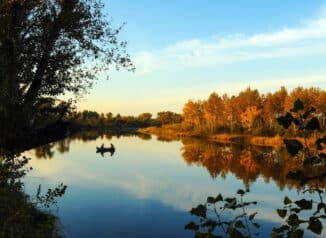 wallerangeln_im_herbst_am_fluss